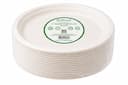 11" Plain Round Plate